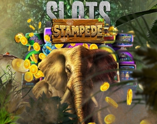 game-slots-stampede