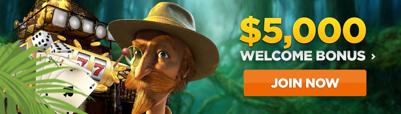 wild-casino-welcome-bonus